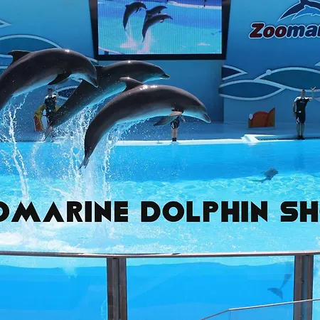 Σπίτι διακοπών 39 Armação de Pêra